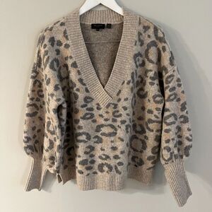 Ted Baker London Beige and Gray Leopard V-Neck Sweater